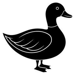 Duck isolated on white, duck vector illustration, animal vector art, duck silhouette, pet vector icon, duck cartoon line art, eps