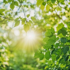Obraz premium A lush green garden with vibrant leaves illuminated by the sun. Ideal for themes of nature, growth, and outdoor living.