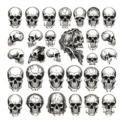 dancing skeleton, monochrome skull, dancing skeleton, human skull