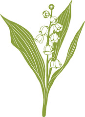 Campanula belflower digital painting illustration