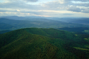 Obraz premium Aerial view of green pine forest with dark spruce trees covering mountain hills. Nothern woodland scenery from above