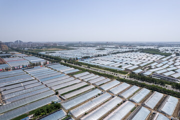 Expansive Aerial View of Modern Greenhouses Under Clear Blue Sky