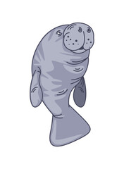 stellers sea cow animal