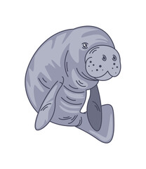 seacow tropical animal aquatic