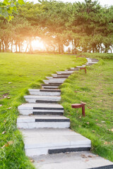 Serene Pathway Leading to a Sunset Through Lush Greenery