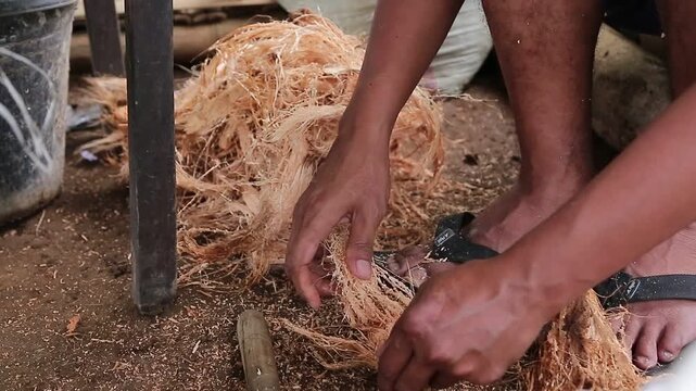 processing old coconuts to take the coconut shells, which can be used as fuel to prepare food