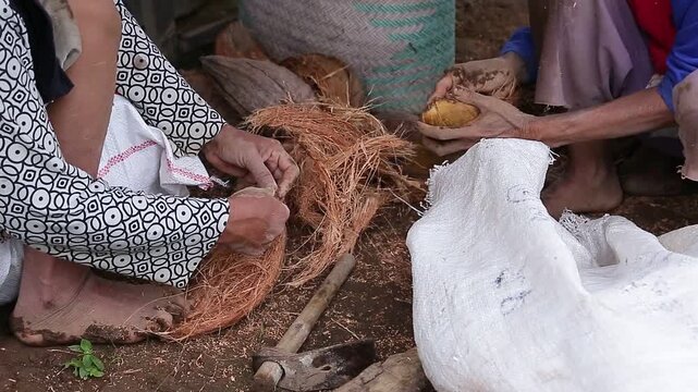 processing old coconuts to take the coconut shells, which can be used as fuel to prepare food