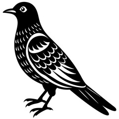  Vector art of cuckoo icon silhouette illustration