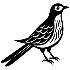  Vector art of cuckoo icon silhouette illustration