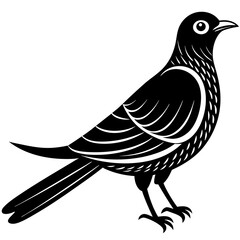  Vector art of cuckoo icon silhouette illustration