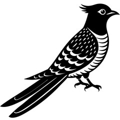  Vector art of cuckoo icon silhouette illustration