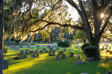 Old cemetery with grave stones under oak trees on green grass lawn in Orlando, Florida. Concept of death