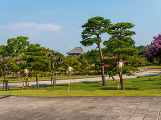 Obraz premium 百日紅の花が咲く真夏の奈良公園