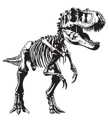 Hand drawn illustration of a Tyrannosaurus Rex skeleton. Editable art.