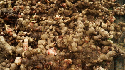 A close-up of vibrant red ginger, showcasing its rich color and texture, highlighting its natural health benefits and spice.