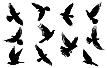 silhouettes of birds, Flying Bird Silhouette. A flock of flying birds. isolated bird flying. tattoo design. great set collection clip art Black vector illustration on white background, Sparrow