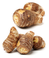 Taro on a white background