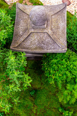 Minimal Japanese garden in home with small stone lantern and bamboo fountain and moss and flowers.
