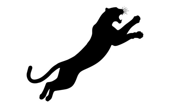black panther leaping silhouette on white background