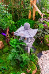 Minimal Japanese garden in home with small stone lantern and bamboo fountain and moss and flowers.
