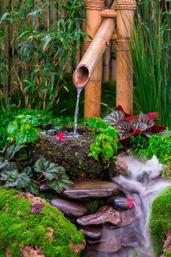 Minimal Japanese garden in home with small stone lantern and bamboo fountain and moss and flowers.
