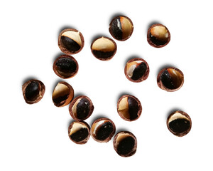 Shells of Macadamia Nut