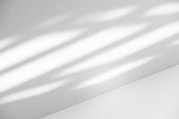 Wall interior background, studio and backdrops show products.with shadow from window color white and grey. background for text insertion and presentation product	