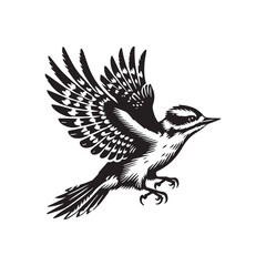 Naklejka premium Downy woodpecker silhouette, Woodpecker Bird Clipart, Letteringdowny woodpecker flight wings fully illustration