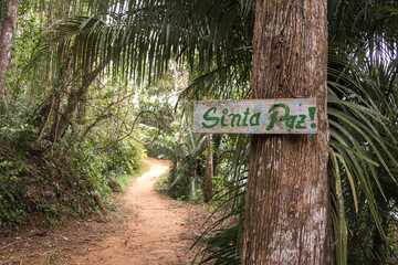 sign in the forest