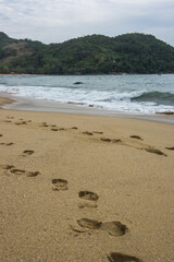 footprints on the beach