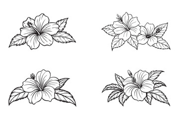 Hibiscus flower Sketch art illustration