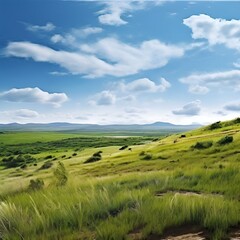 Obraz premium landscape with green grass and sky