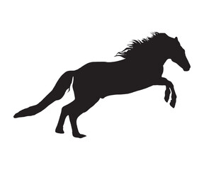 Running horse black silhouette. Vector illustration. Black horse sign on a white background.