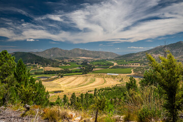 Naklejka premium Waboomskraal in the Outeniqua Mountains Hops farms and fynbos, floral kingdom in South Africa.