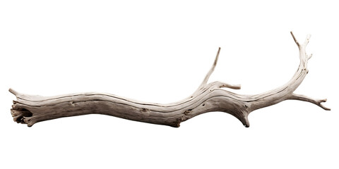 Obraz premium Realistic Wooden Driftwood Branch Isolated on Transparent Background