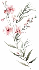 Fototapeta premium Vintage watercolor decoration wedding card flowers illustration poster background