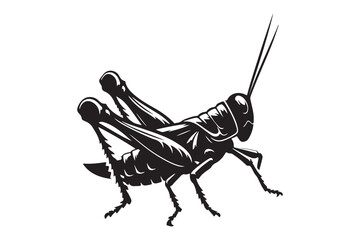 Grasshopper Silhouette Vector Detailed Insect Illustration