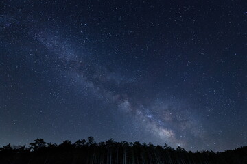 八ヶ岳山麓の樹林帯の向こうに輝く天の川の遠景