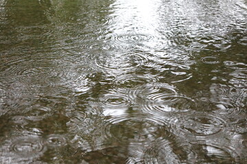 雨が作る波紋