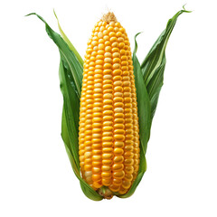 Golden Corn: A Symbol of Abundance and Harvest, With Its Plump Kernels Shining Brightly Against a Dark Background, Evoking Nature's Bounty and Agricultural Riches All Around Us.