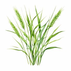 Fototapeta premium the AI Image Generator, Long green grass blades on a transparent background.