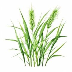 Naklejka premium the AI Image Generator, Long green grass blades on a transparent background.