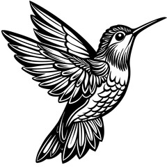 Hummingbird art vector