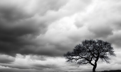 Obraz premium tree silhouette against rainy clouds, Generative AI