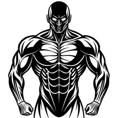 Muscular human body from the front view art vector