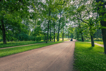 A dirt road with a car driving down it
