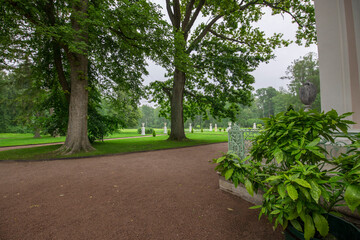A tranquil pathway beckons, framed by majestic trees and vibrant foliage, inviting peaceful strolls through a verdant landscape.