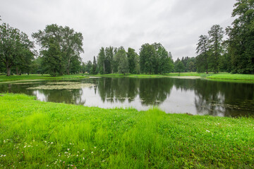 Obraz premium A pond with trees in the background