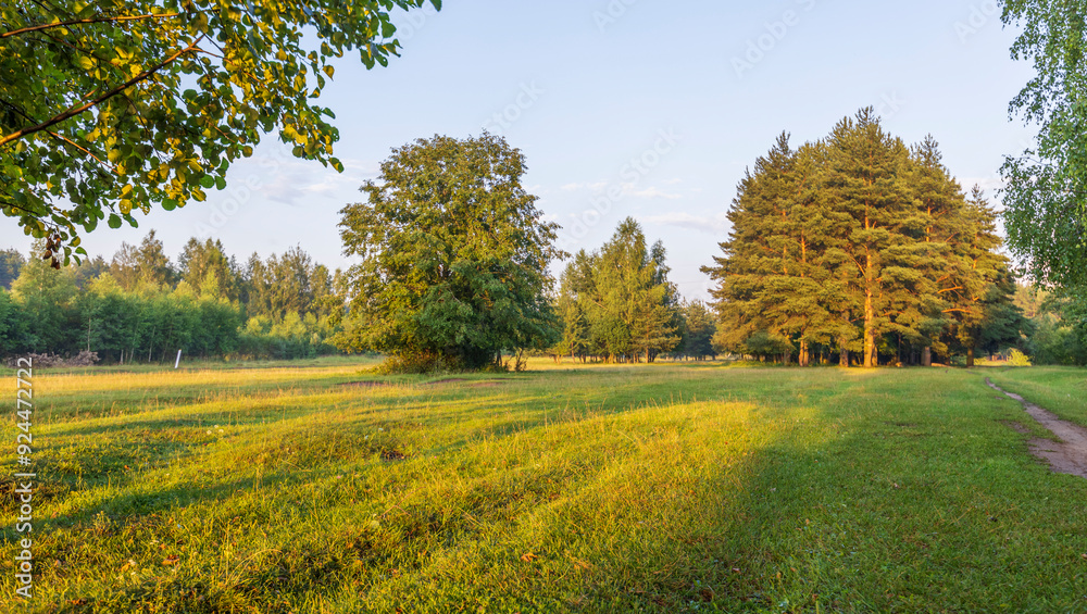Wall mural a field of grass with trees in the background
