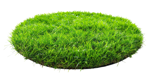 Patch of fresh green lawn grass, cut out